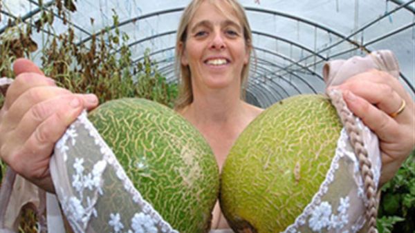 روي وستيانتها