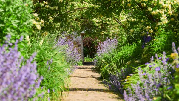 (Shutterstock/ File Photo)