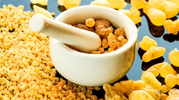 اللبان الذكر أو ما يعرف بالكندر هو عبارة عن صمغ يتمّ إنتاجه من بعض الأشجار (shutterstock.com)
