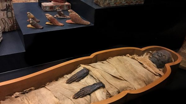 (Shutterstock/ File Photo)