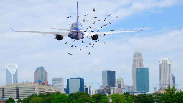 (Shutterstock/File Photo)