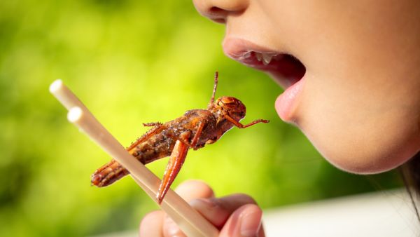 (Shutterstock/File Photo)