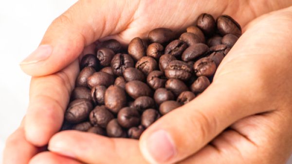 تحتوي القهوة على أملاح معدنية مثل الماغنسيوم، والبوتاسيوم (shutterstock.com)
