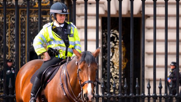 Unidentified police officer is on duty during the changing of the guard (Shutterstock/File Photo)