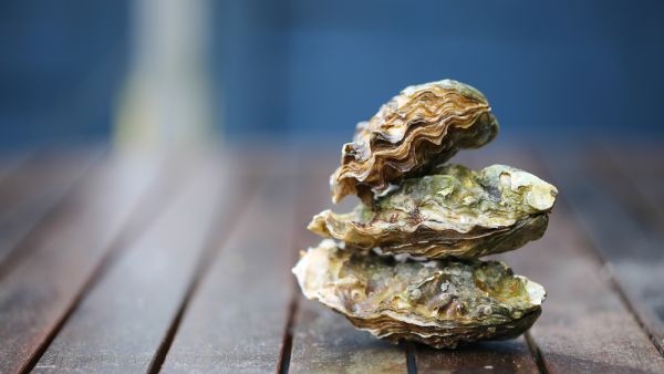 Raw oyster (Shutterstock/File Photo)
