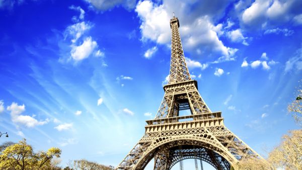 Eiffel Tower in Paris (Shutterstock)