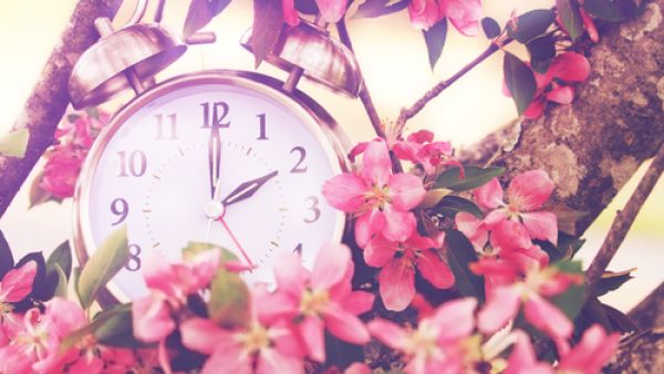 لا تقوم ساعتنا البيولوجية بالتقدم بنفس السهولة (shutterstock.com)
