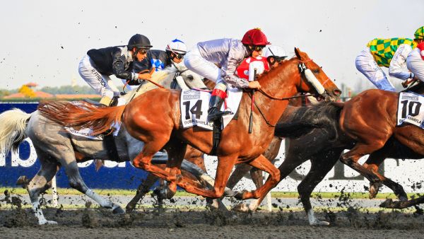 Dubai is jam-packed with sporting activities, and not just for football lovers (Shutterstock.com)