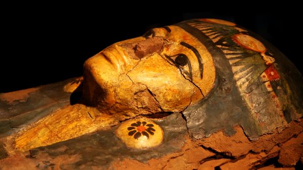 (Shutterstock/ File Photo)