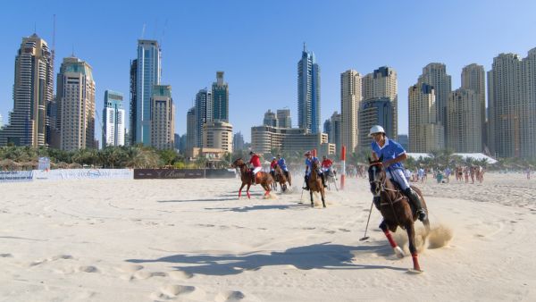 An eclectic array of things to fill your day (Shutterstock)