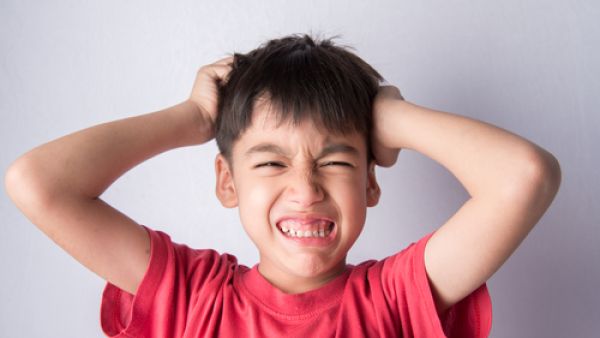 لا يعد القمل دليلا على عدم النظافة (shutterstock.com)
