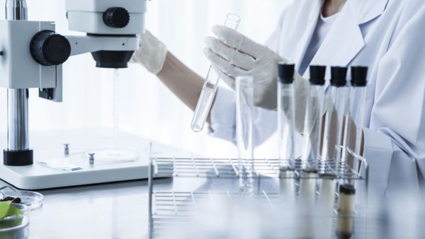 (Shutterstock/File Photo)