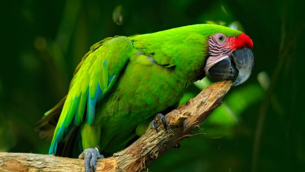 (Shutterstock/File Photo)