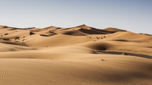 Tourist Found Dead in UAE Desert