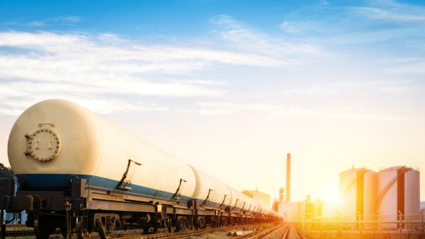 (Shutterstock/File Photo)