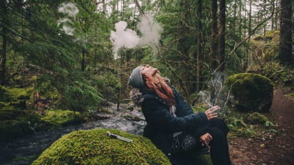 (Shutterstock/File Photo)