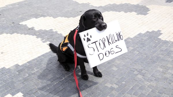 (Shutterstock/ File Photo)