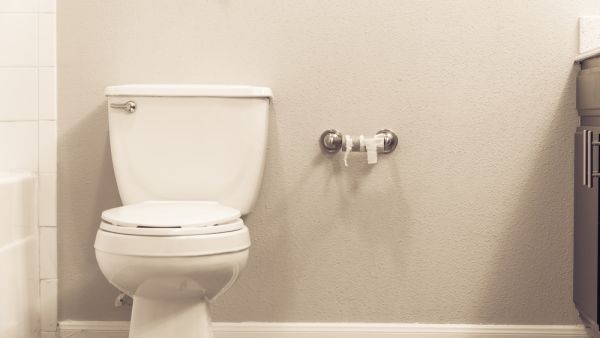 Sanitation is connected to 19% of Egyptian villages (Shutterstock/File)