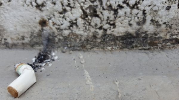 If caught by municipality inspectors, the fine will double, then triple for each repeated offense (Shutterstock/File)