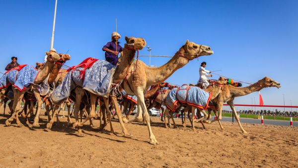 Free-for-all fun in Dubai (Shutterstock)