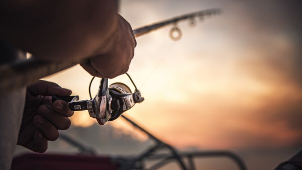 (Shutterstock/File Photo)