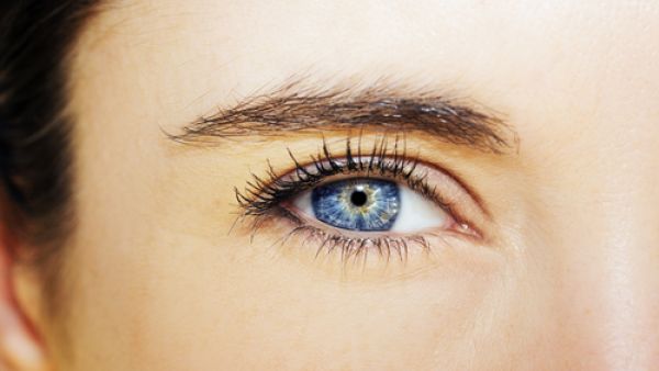 بعض الدراسات أن تناول البيض من الممكن أن يساعد على الحفاظ على صحة العين (shutterstock.com)