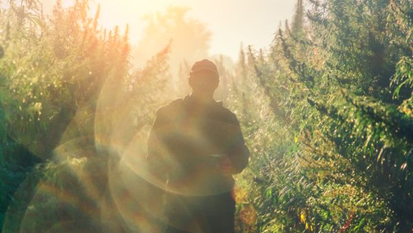 (Shutterstock/File Photo)