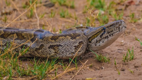 (Shutterstock/ File Photo)