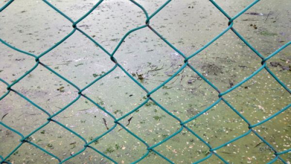 Police found a body floating in the pond (Shutterstock/File)