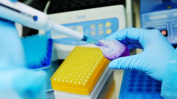 وفيات مرض السرطان تزداد سنة بعد أخرى وذلك لتأخر تشخيص الإصابة به (shutterstock.com)
