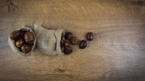 استخدم العلماء الكستناء لكشف السرطان (shutterstock.com)