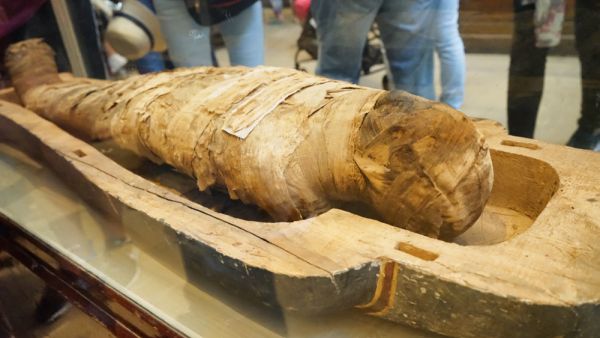 Wooden sarcophagus with ancient mummy (Shutterstock)	