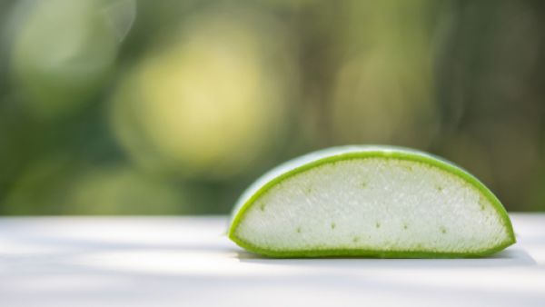 يُستخدم الهلام الداخلي لنبتة الألوفيرا، كعلاج لجميع المشاكل الجلدية (shutterstock.com)