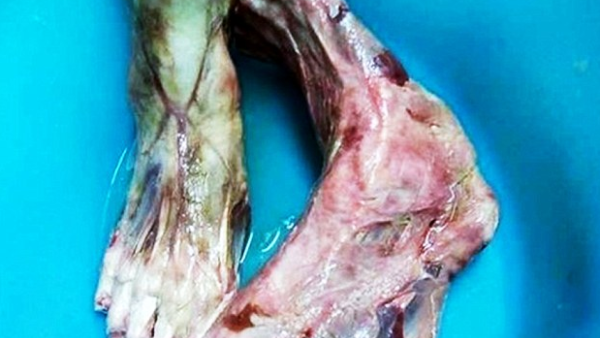 بدوره قدم زبون إيطالي بلاغا للشرطة