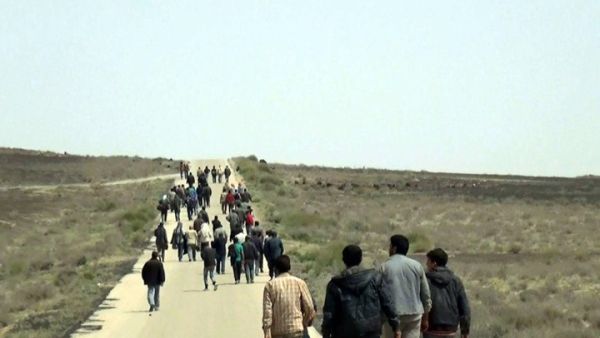 إيطاليا تنقذ 900 لاجئ فى أكبر عملية من نوعها - ارشيف