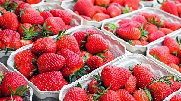 Saudi Arabia had previously enforced a two-month ban on Egyptian strawberries on July 8.  (Pixabay)