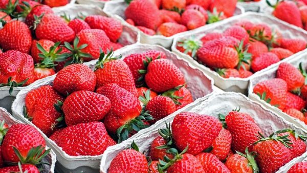Saudi Arabia had previously enforced a two-month ban on Egyptian strawberries on July 8.  (Pixabay)