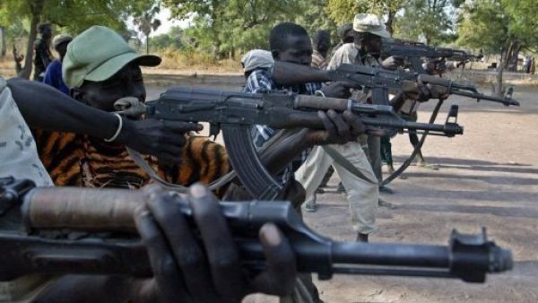 المصريين، عاونوا المسلحين السودانيين في إقليم دافور