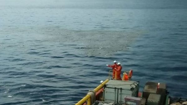 انتشال 24 جثة لضحايا الطائرة الإندونيسية المنكوبة
