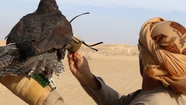 هواية الملوك.. 