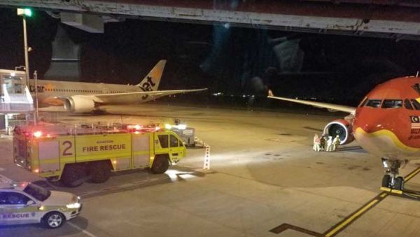  يبدو أن مشاكل المحرك نجمت عن هجوم للطيور