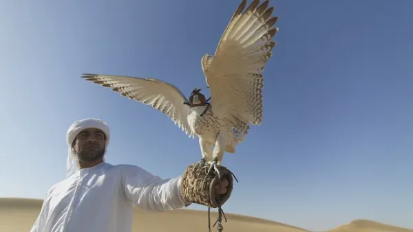An Emirati man with his falcon. (Pixabay)