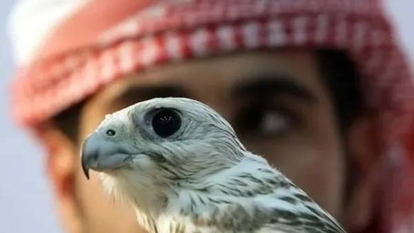 ارشيف