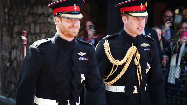 الامير ويليام وهاري