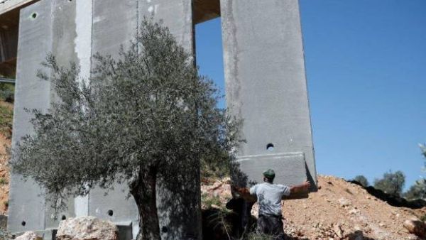 اسرائيل تبدأ تشييد جزء جديد من جدار الفصل في الضفة الغربية
