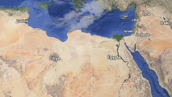 وزير مصري يهدد بالانسحاب من الجلسة الافتتاحية للمنتدى الإفريقي لمهارات الشباب المنعقد في تونس