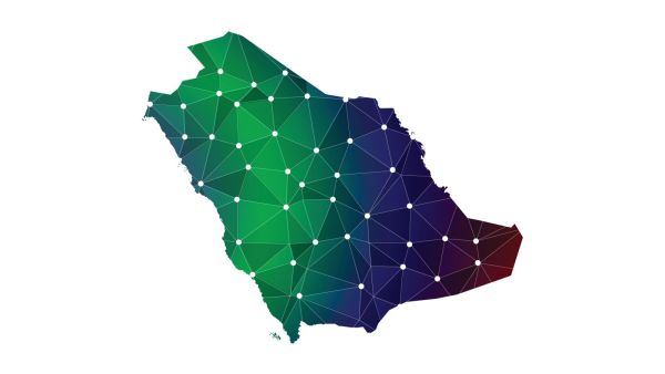 US forces Saudi firm out of new startup backed by OpenAI CEO