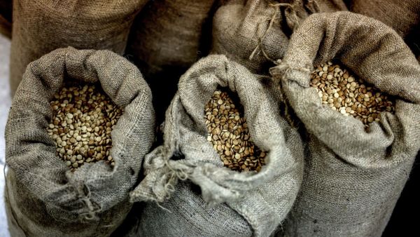 Jordan is a corridor for drugs, EU officials are worried