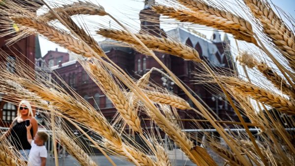 Russia declares Ukraine grain deal over, unless...