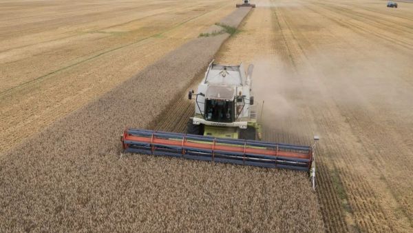 EU commission mulls on subsidizing Ukrainian grain exports